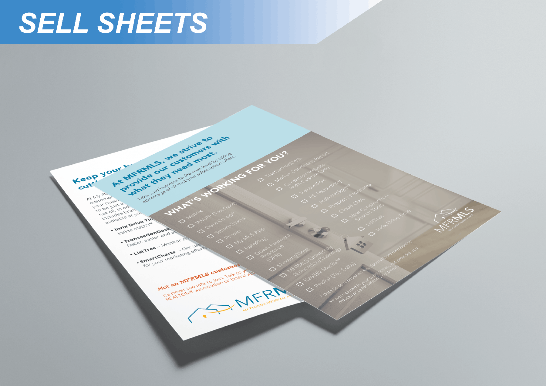 Sell Sheets Printing Services | Alpha Press Orlando
