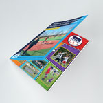 Newsletters - Example Image 1